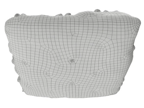 Flat wheat bread with seeds for fast food 3D Model