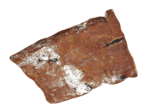 P&atilde;o de gengibre com passas Modelo 3D