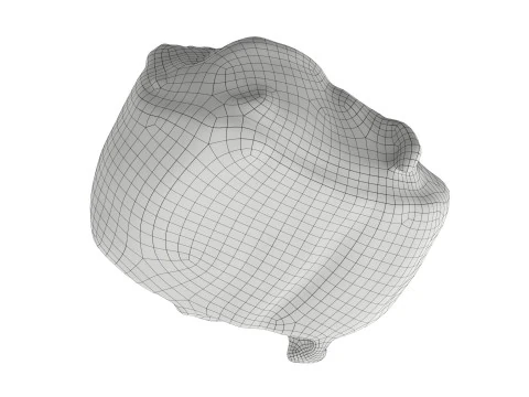 Mini-bun with cheese and cumin seeds 3D Model
