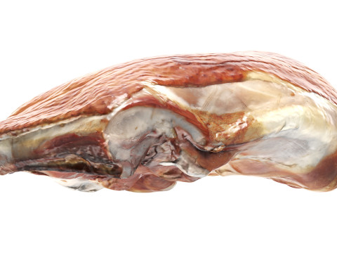 Smoked chicken leg 3D 模型