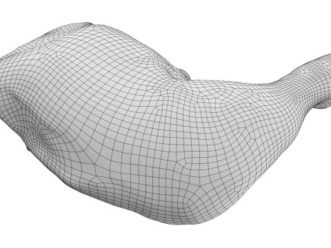 Smoked chicken leg 3D Model