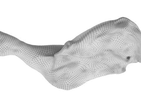 Smoked chicken leg 3D 模型