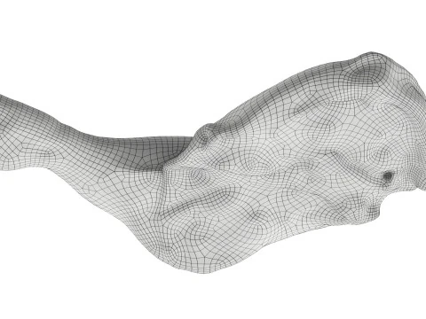 Smoked chicken leg 3D Model