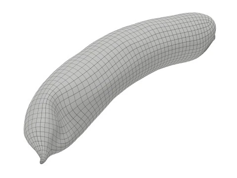 Lingui&ccedil;a de porco defumada Modelo 3D