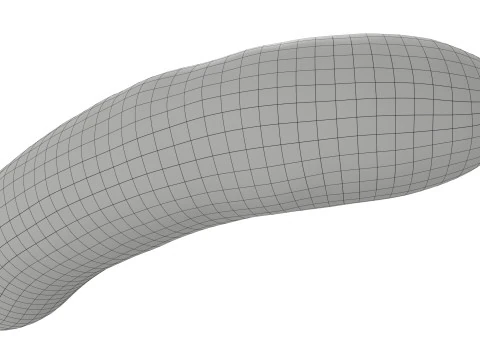Lingui&ccedil;a de porco defumada Modelo 3D