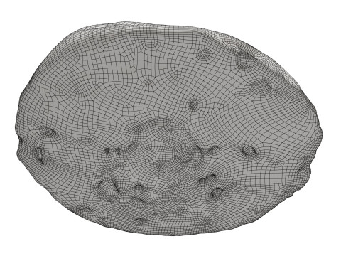 Traditional bread Non 3Dモデル