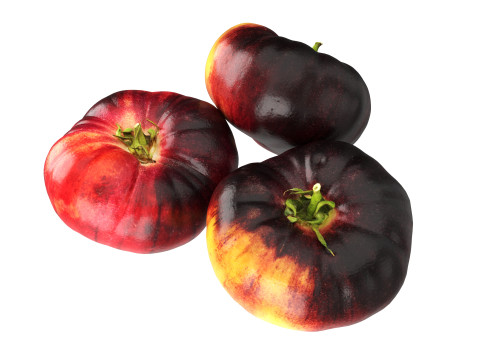 Black Krim tomato 3D-Modell