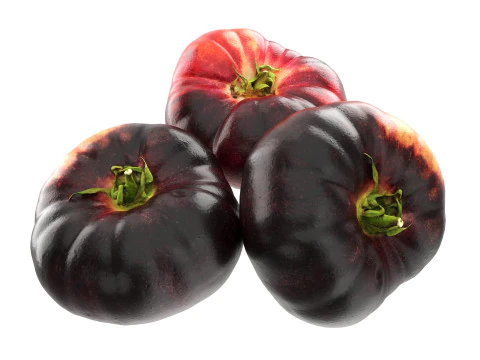 Black Krim tomato 3D Model