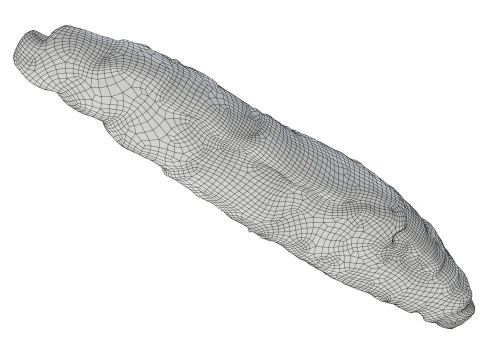 Bread roll with olives and sesam seeds 3D Model