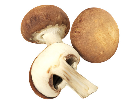 Brown cap mushrooms Modelo 3D