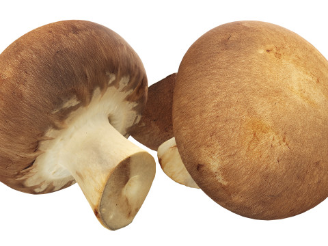 Brown cap mushrooms Modelo 3D