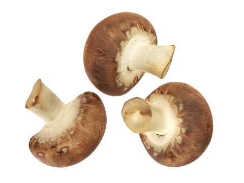 Brown cap mushrooms Modelo 3D