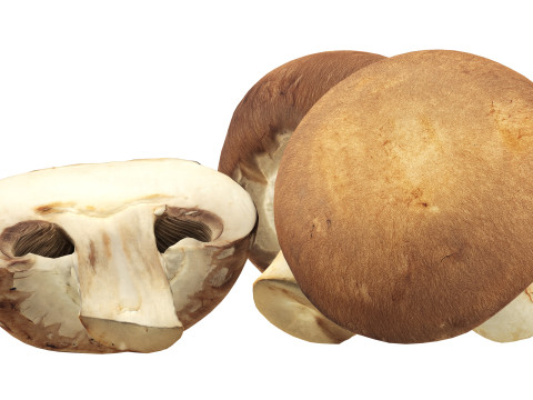 Brown cap mushrooms Modelo 3D