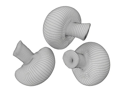Brown cap mushrooms 3D Model