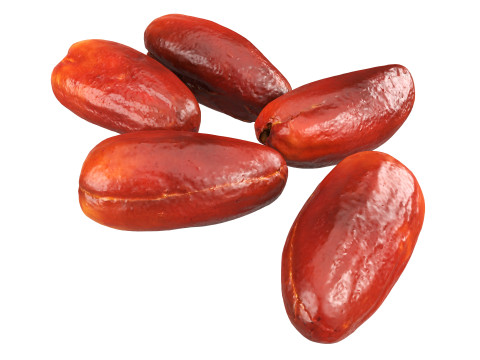 Date fruits 3D Model