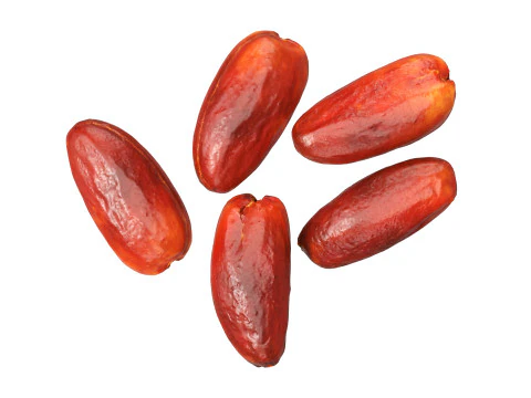 Date fruits 3D Model