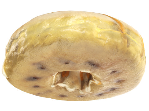 Donut with caramel filling 3D Модель