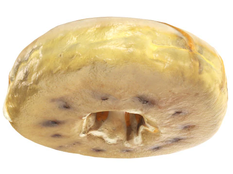 Donut with caramel filling 3D Model