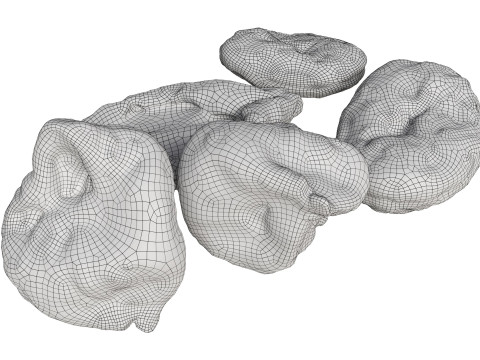 Dryed fruits Modello 3D