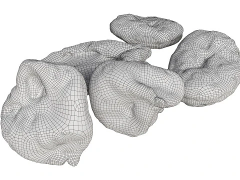 Dryed fruits 3D Model