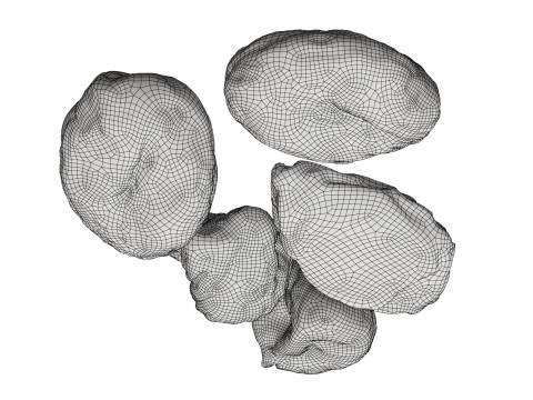 Dryed fruits Modello 3D