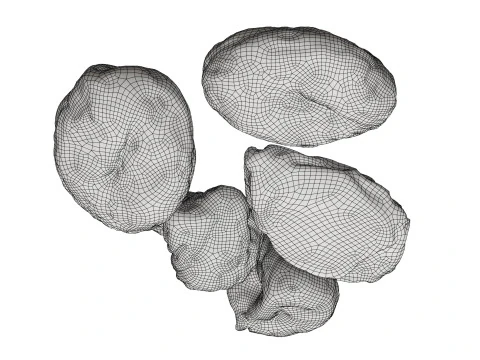 Dryed fruits 3D Model