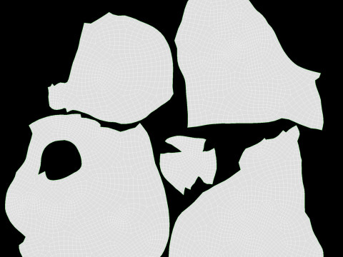 Dryed fruits Modello 3D