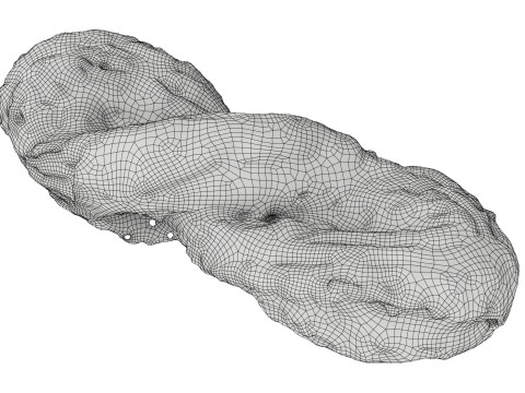 Marzipan swirl small pastry Modelo 3D