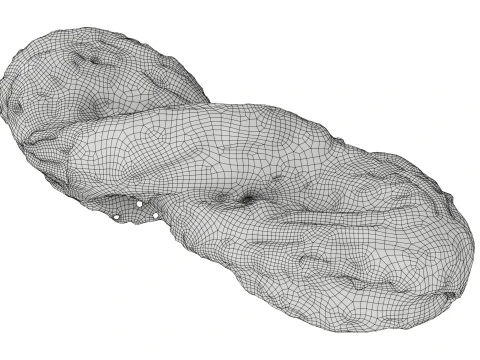 Marzipan swirl small pastry 3D Model