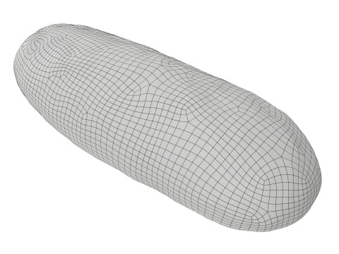 P&atilde;o de trigo estreito com gr&atilde;os Modelo 3D
