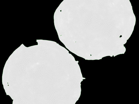 Torta Pastel de Nata Modelo 3D