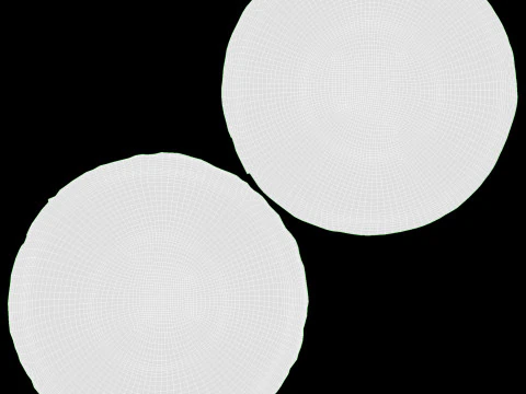 Torta Pastel de Nata Modelo 3D