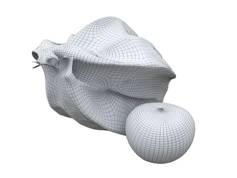 Physalis mirtillo dorato Modello 3D