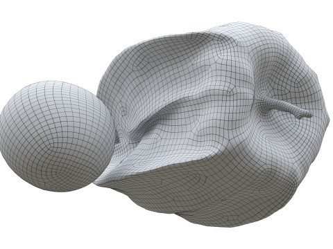 Physalis goldenberry Modello 3D