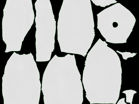 Physalis mirtillo dorato Modello 3D