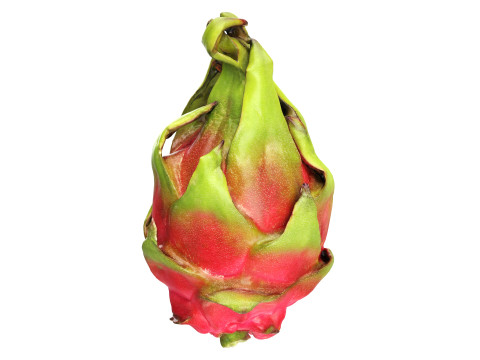 Pitaya Dragon fruit Modelo 3D