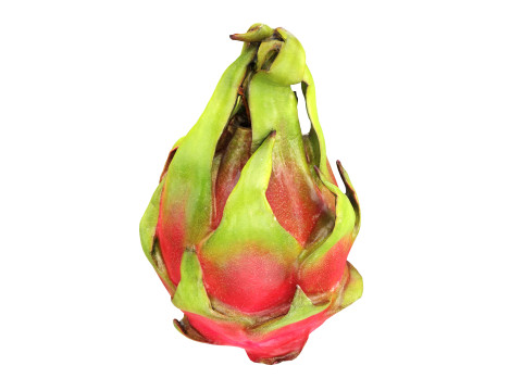 Pitaya Dragon fruit Model 3D