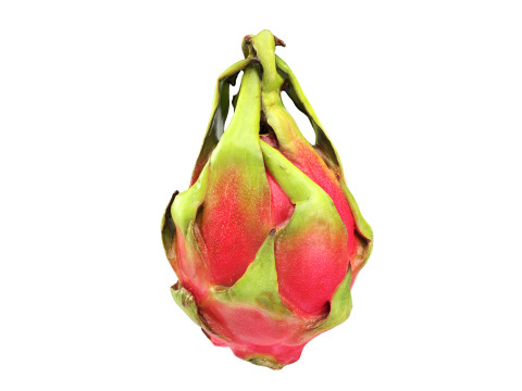 Pitaya Dragon fruit Model 3D