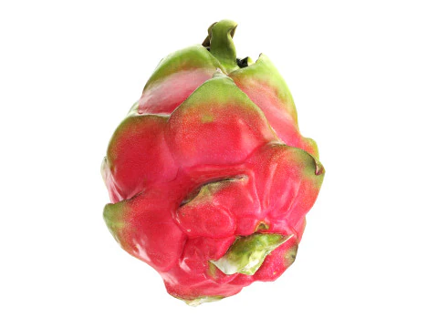 Buah Naga Pitaya Model 3D
