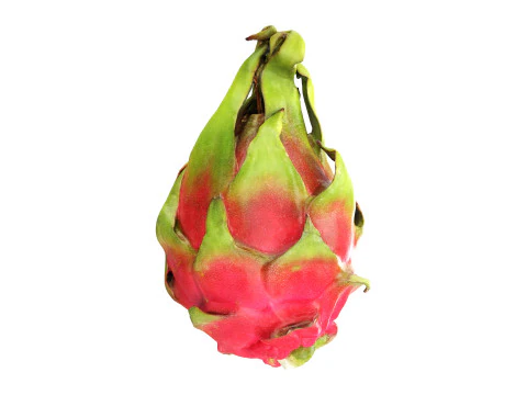 Buah Naga Pitaya Model 3D