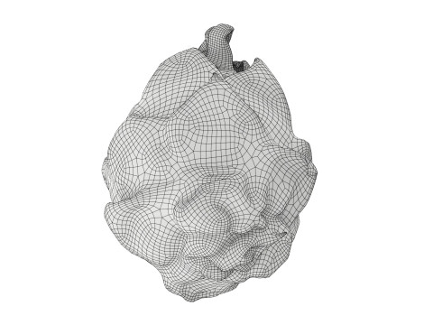 Pitaya Dragon fruit Model 3D