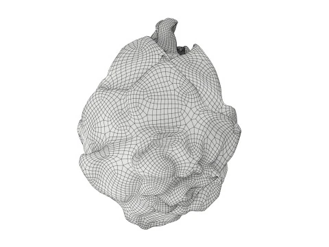 Buah Naga Pitaya Model 3D