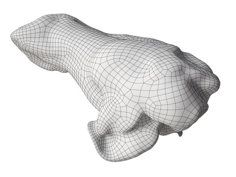 Small cold-smoked chicken leg drumstick Model 3D