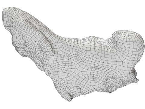 Small cold-smoked chicken leg drumstick Model 3D