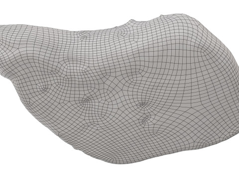 Sweet bun with custard Model 3D