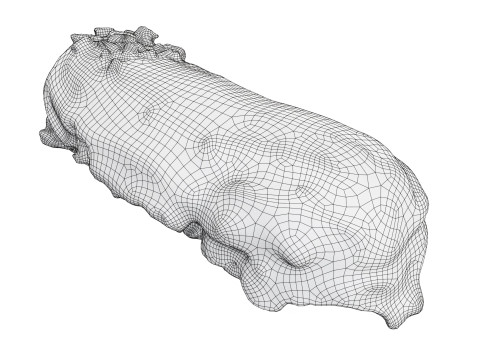 Banana eclair Modèle 3D