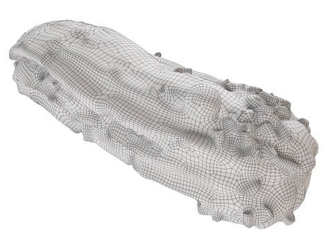 Blueberry eclair 3D 模型