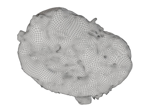 Pretzel with cheese Model 3D