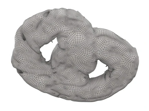 Pretzel with cumin seeds 3D Model