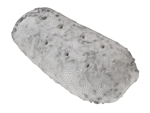 带种子的长方形黑麦面包 3D 模型